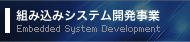 gݍ݃VXeJ Embedded System Development